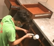 少儿舞蹈艺术培训学校